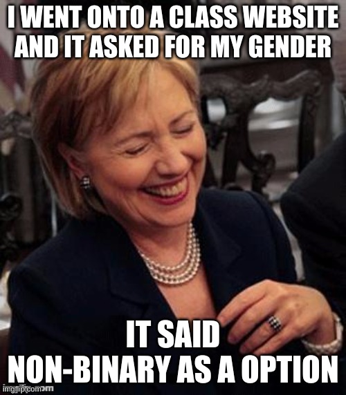 Not intended to be homophobic, but I thought it was funny | I WENT ONTO A CLASS WEBSITE AND IT ASKED FOR MY GENDER; IT SAID NON-BINARY AS A OPTION | image tagged in hillary lol | made w/ Imgflip meme maker