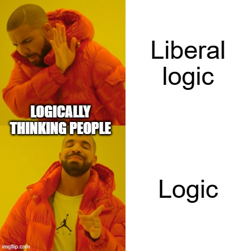 Drake Hotline Bling Meme | Liberal logic Logic LOGICALLY THINKING PEOPLE | image tagged in memes,drake hotline bling | made w/ Imgflip meme maker