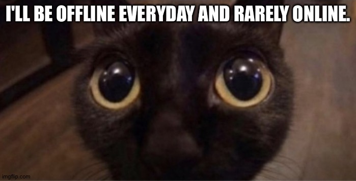 Skrunkly | I'LL BE OFFLINE EVERYDAY AND RARELY ONLINE. | image tagged in skrunkly | made w/ Imgflip meme maker