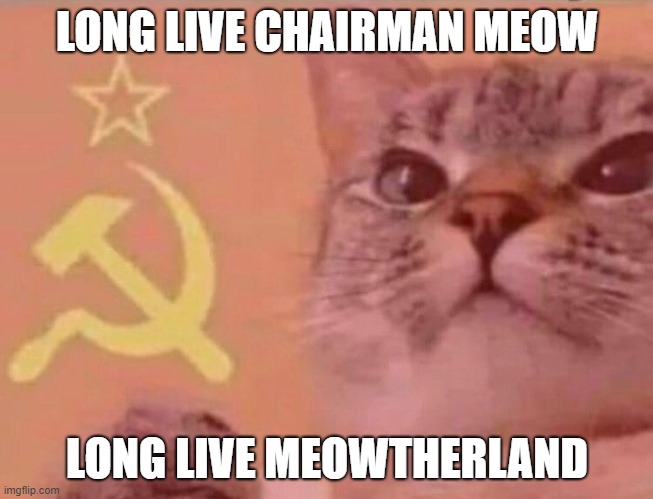 long live meow | LONG LIVE CHAIRMAN MEOW; LONG LIVE MEOWTHERLAND | image tagged in communist cat | made w/ Imgflip meme maker