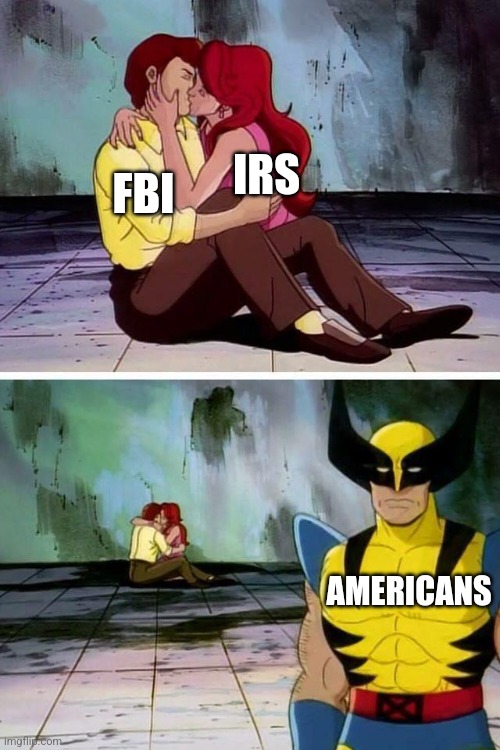 Kissing | IRS; FBI; AMERICANS | image tagged in kissing | made w/ Imgflip meme maker