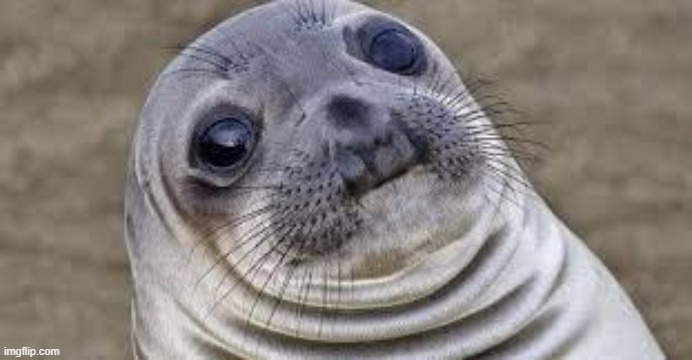 Akward moment seal | image tagged in akward moment seal | made w/ Imgflip meme maker