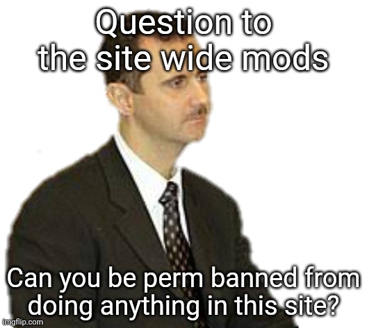 Bashar al-Assad Staring | Question to the site wide mods; Can you be perm banned from doing anything in this site? | image tagged in bashar al-assad staring | made w/ Imgflip meme maker