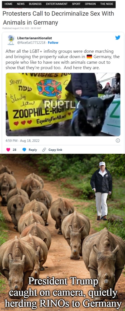 President Trump caught on camera, quietly herding RINOs to Germany | image tagged in political meme | made w/ Imgflip meme maker