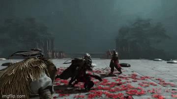6qz23i.gif