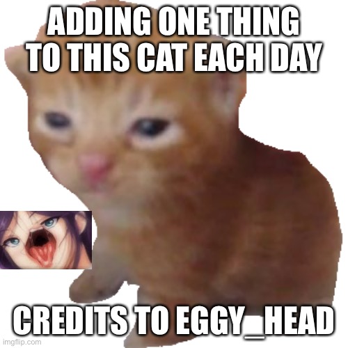 Adding one thing to this image- day 1 | ADDING ONE THING TO THIS CAT EACH DAY; CREDITS TO EGGY_HEAD | image tagged in herbert,spongebob ight imma head out,why are you reading this,stop reading the tags,go away,turn around | made w/ Imgflip meme maker