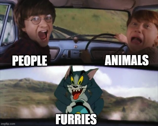 Tom chasing Harry and Ron Weasly | ANIMALS; PEOPLE; FURRIES | image tagged in tom chasing harry and ron weasly | made w/ Imgflip meme maker