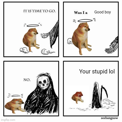 r/cheemshate rocks | Good boy; Your stupid lol | image tagged in it is time to go,cheems | made w/ Imgflip meme maker