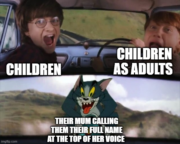 Tom chasing Harry and Ron Weasly | CHILDREN AS ADULTS; CHILDREN; THEIR MUM CALLING THEM THEIR FULL NAME AT THE TOP OF HER VOICE | image tagged in tom chasing harry and ron weasly | made w/ Imgflip meme maker