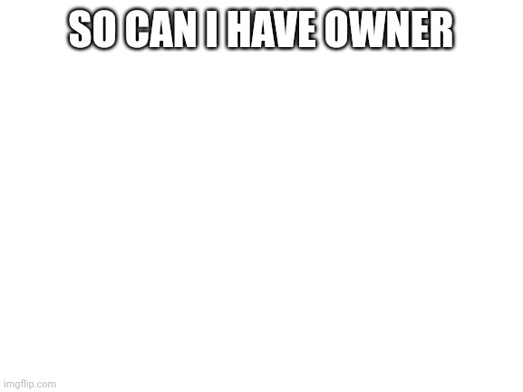 Blank White Template | SO CAN I HAVE OWNER | image tagged in blank white template | made w/ Imgflip meme maker
