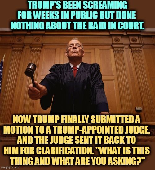 Do-over. Get it right next time. | TRUMP'S BEEN SCREAMING FOR WEEKS IN PUBLIC BUT DONE 
NOTHING ABOUT THE RAID IN COURT. NOW TRUMP FINALLY SUBMITTED A 
MOTION TO A TRUMP-APPOINTED JUDGE, 
AND THE JUDGE SENT IT BACK TO 
HIM FOR CLARIFICATION. "WHAT IS THIS 
THING AND WHAT ARE YOU ASKING?" | image tagged in trump,raid,ridiculous,court,angry,judge | made w/ Imgflip meme maker