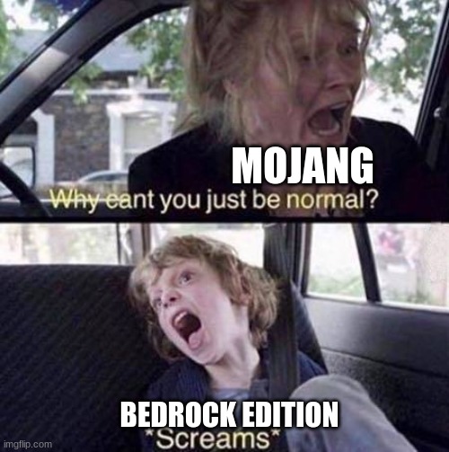 just play java | MOJANG; BEDROCK EDITION | image tagged in why can't you just be normal | made w/ Imgflip meme maker