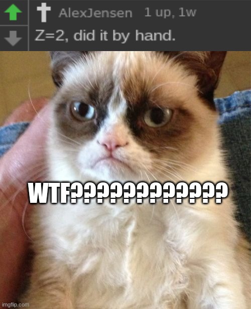 @AlexJensen | WTF???????????? | image tagged in memes,grumpy cat,lmfao,wtf | made w/ Imgflip meme maker