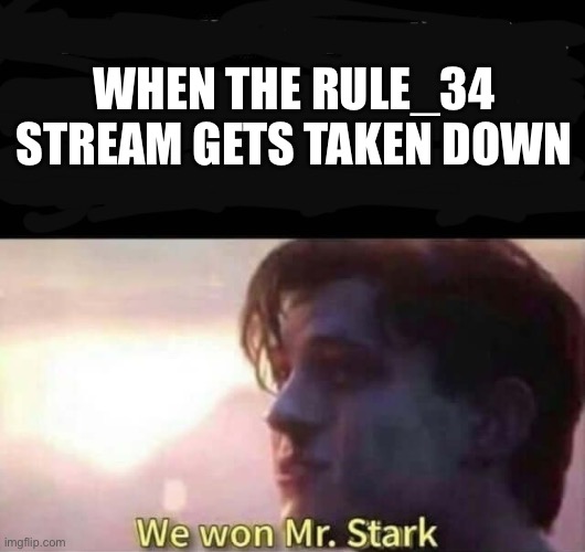 We won Mr. Stark | WHEN THE RULE_34 STREAM GETS TAKEN DOWN | image tagged in we won mr stark | made w/ Imgflip meme maker