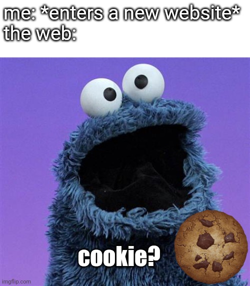 accept cookies? |  me: *enters a new website*
the web:; cookie? | image tagged in cookie monster,memes,computer,website,relatable,cookies | made w/ Imgflip meme maker