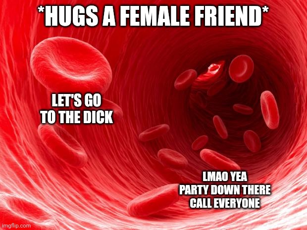 blood cells | *HUGS A FEMALE FRIEND*; LET'S GO TO THE DICK; LMAO YEA PARTY DOWN THERE CALL EVERYONE | image tagged in blood cells | made w/ Imgflip meme maker