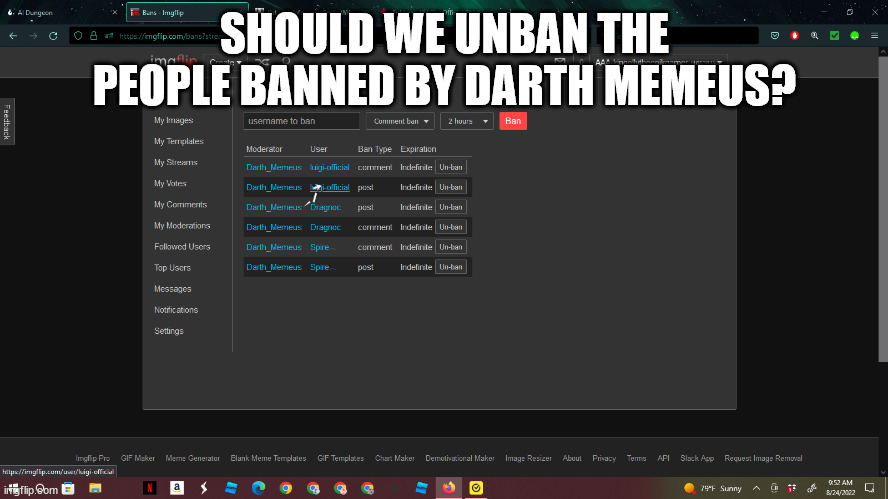 i feel like they were falsely banned and deserve to be unbanned | SHOULD WE UNBAN THE PEOPLE BANNED BY DARTH MEMEUS? | made w/ Imgflip meme maker