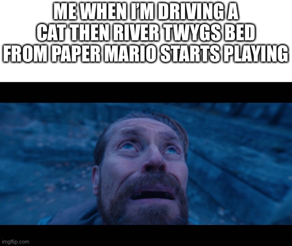 Oh poop | ME WHEN I’M DRIVING A CAT THEN RIVER TWYGS BED FROM PAPER MARIO STARTS PLAYING | image tagged in willem dafoe looking up | made w/ Imgflip meme maker