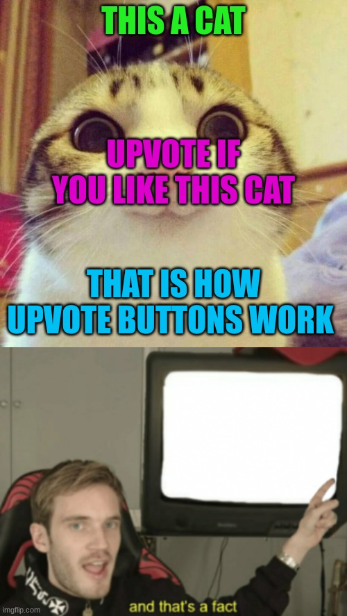 I´m not wrong | THIS A CAT; UPVOTE IF YOU LIKE THIS CAT; THAT IS HOW UPVOTE BUTTONS WORK | image tagged in memes,smiling cat,and that's a fact | made w/ Imgflip meme maker