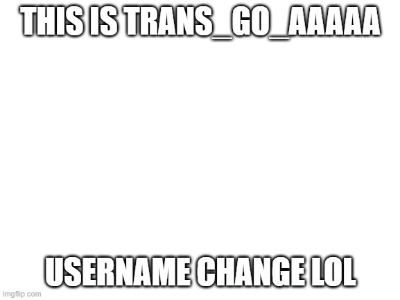 E | THIS IS TRANS_GO_AAAAA; USERNAME CHANGE LOL | image tagged in blank white template | made w/ Imgflip meme maker