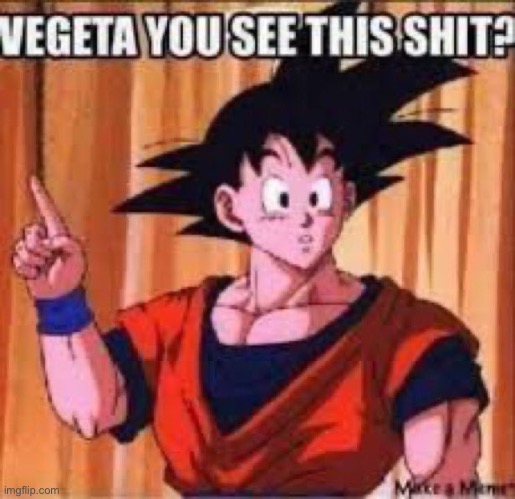 Vegeta you see this shit | image tagged in vegeta you see this shit | made w/ Imgflip meme maker