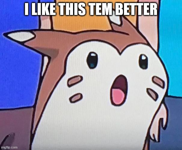 suprised furret | I LIKE THIS TEM BETTER | image tagged in suprised furret | made w/ Imgflip meme maker