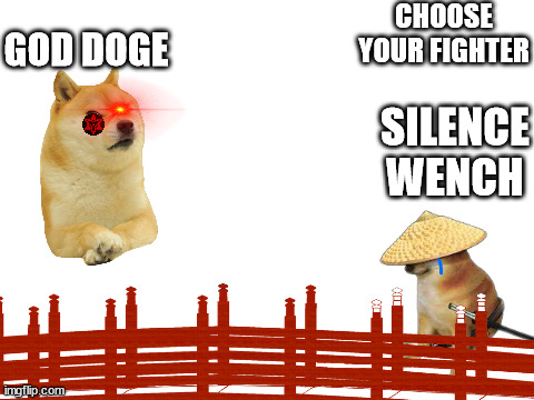 choose your fighter | CHOOSE YOUR FIGHTER; GOD DOGE; SILENCE WENCH | image tagged in memes | made w/ Imgflip meme maker