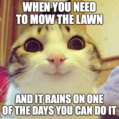 Now I can just relax, cause I won't be doing it! | WHEN YOU NEED TO MOW THE LAWN; AND IT RAINS ON ONE OF THE DAYS YOU CAN DO IT | image tagged in memes,smiling cat,mowing,rainy day,rain | made w/ Imgflip meme maker