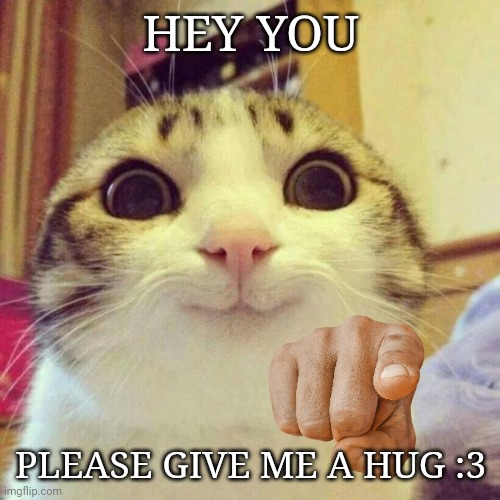 Smiling Cat | HEY YOU; PLEASE GIVE ME A HUG :3 | image tagged in memes,smiling cat | made w/ Imgflip meme maker