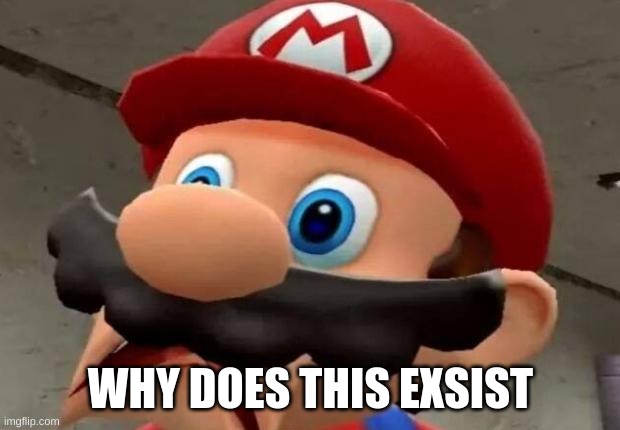 Mario WTF | WHY DOES THIS EXSIST | image tagged in mario wtf | made w/ Imgflip meme maker