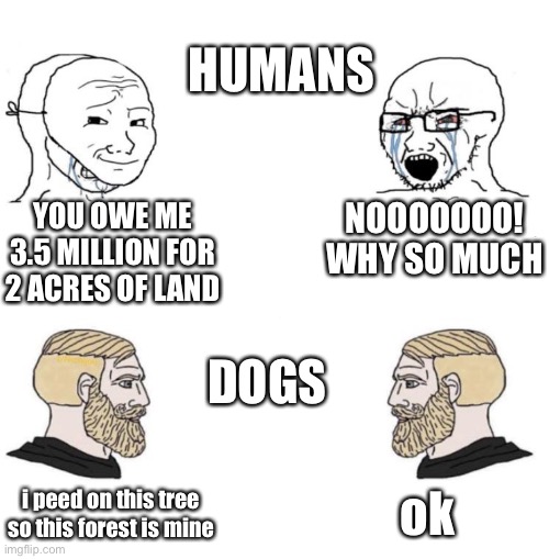 Dogs vs Humans | HUMANS; NOOOOOOO! WHY SO MUCH; YOU OWE ME 3.5 MILLION FOR 2 ACRES OF LAND; DOGS; ok; i peed on this tree so this forest is mine | image tagged in chad we know | made w/ Imgflip meme maker