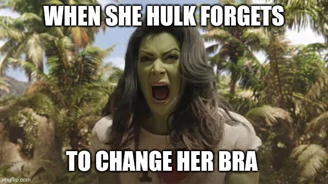 No bra can tame those beasts | WHEN SHE HULK FORGETS; TO CHANGE HER BRA | image tagged in she hulk | made w/ Imgflip meme maker