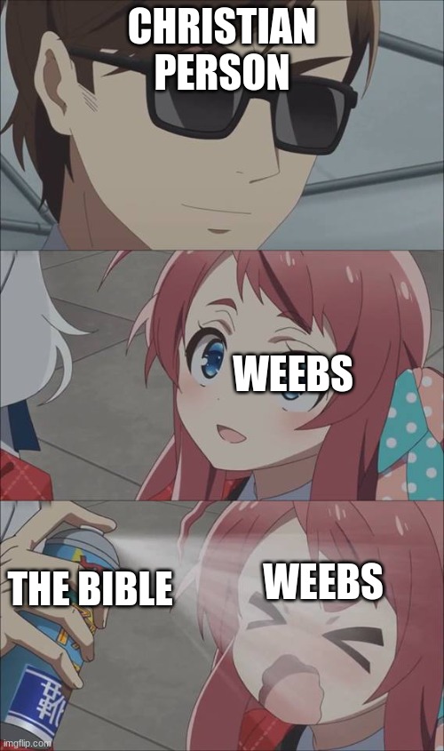 that says the Bibble | CHRISTIAN PERSON; WEEBS; WEEBS; THE BIBLE | image tagged in anime spray | made w/ Imgflip meme maker