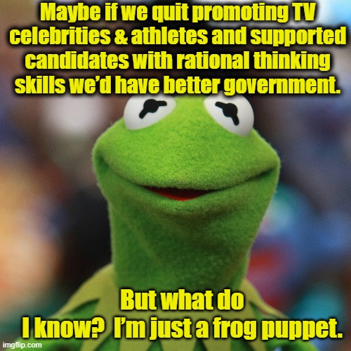 Kermit's Key to Better Government |  Maybe if we quit promoting TV celebrities & athletes and supported candidates with rational thinking skills we’d have better government. But what do I know?  I’m just a frog puppet. | image tagged in left wing,right wing,maga,donald trump is an idiot,kermit the frog,kermit | made w/ Imgflip meme maker