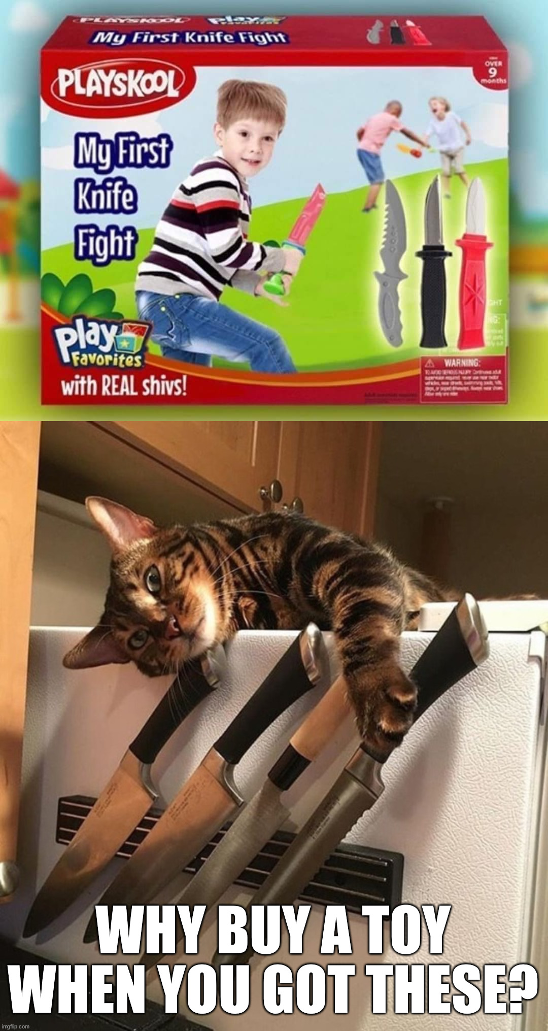 Train for future jailtime with the shivs | WHY BUY A TOY WHEN YOU GOT THESE? | image tagged in cat with knives,fake,funny picture,not really,kids | made w/ Imgflip meme maker