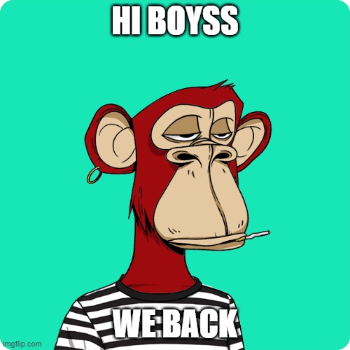 HI BOYSS; WE BACK | image tagged in nft monkey | made w/ Imgflip meme maker