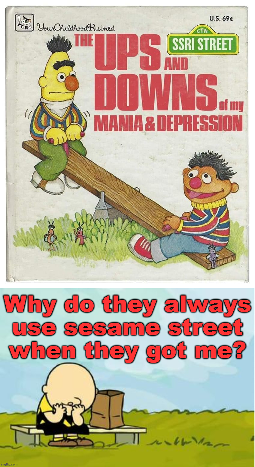 Why do they always use sesame street when they got me? | image tagged in depressed charlie brown,fake | made w/ Imgflip meme maker