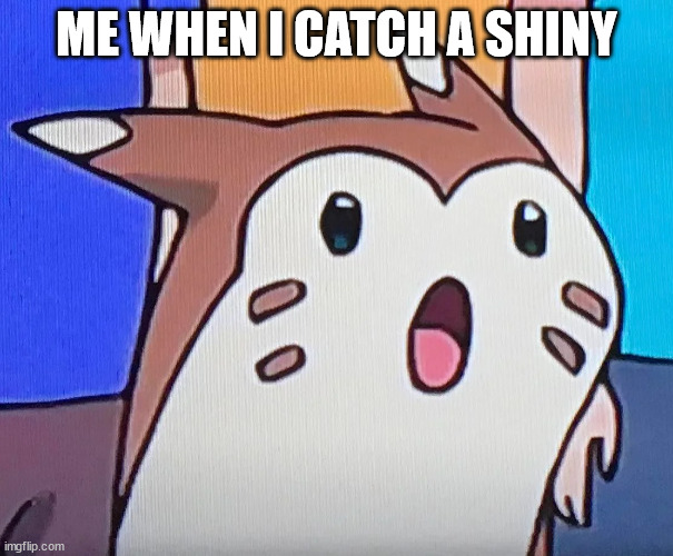 suprised furret | ME WHEN I CATCH A SHINY | image tagged in suprised furret | made w/ Imgflip meme maker