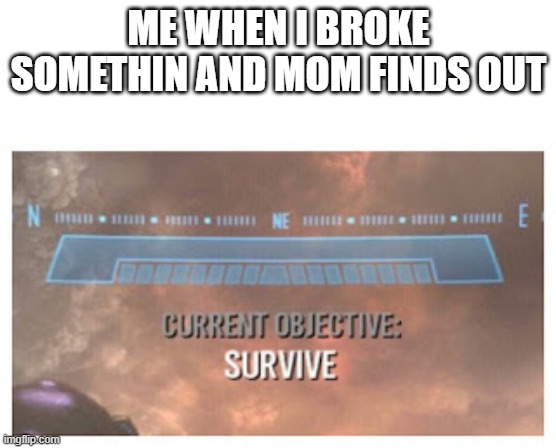 Current Objective: Survive | ME WHEN I BROKE SOMETHIN AND MOM FINDS OUT | image tagged in current objective survive,relatable | made w/ Imgflip meme maker