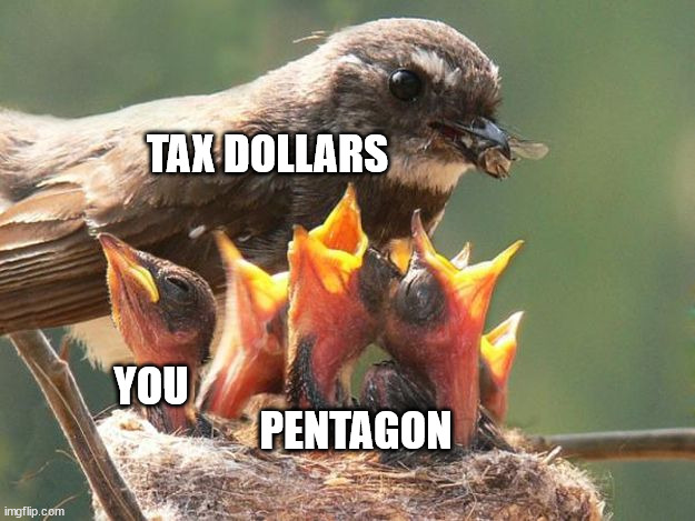 Tax Dollars |  TAX DOLLARS; YOU; PENTAGON | image tagged in pentagon,war,theft,corruption | made w/ Imgflip meme maker