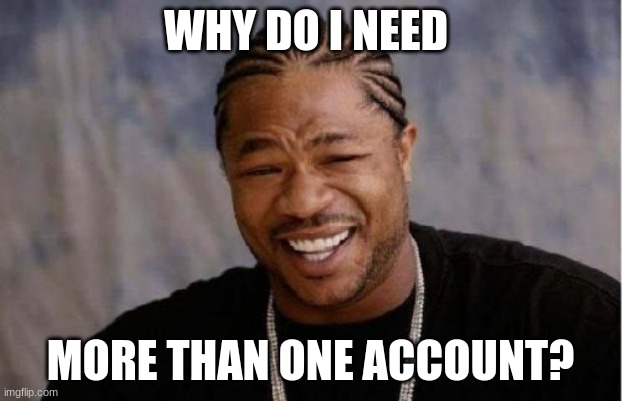 why am I a moron? |  WHY DO I NEED; MORE THAN ONE ACCOUNT? | image tagged in memes,yo dawg heard you | made w/ Imgflip meme maker