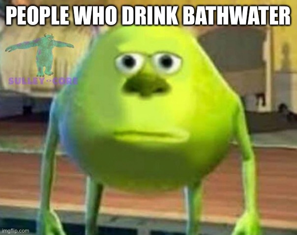 Monsters Inc | PEOPLE WHO DRINK BATHWATER | image tagged in monsters inc | made w/ Imgflip meme maker