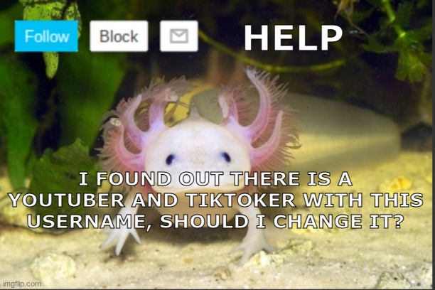 He or She is a small content creator but still | HELP; I FOUND OUT THERE IS A YOUTUBER AND TIKTOKER WITH THIS USERNAME, SHOULD I CHANGE IT? | image tagged in axolotldudes announcement template | made w/ Imgflip meme maker