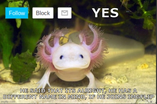 A big "IF" | YES; HE SAID THAT ITS ALRIGHT, HE HAS A DIFFERENT NAME IN MIND, IF HE JOINS IMGFLIP | image tagged in axolotldudes announcement template | made w/ Imgflip meme maker