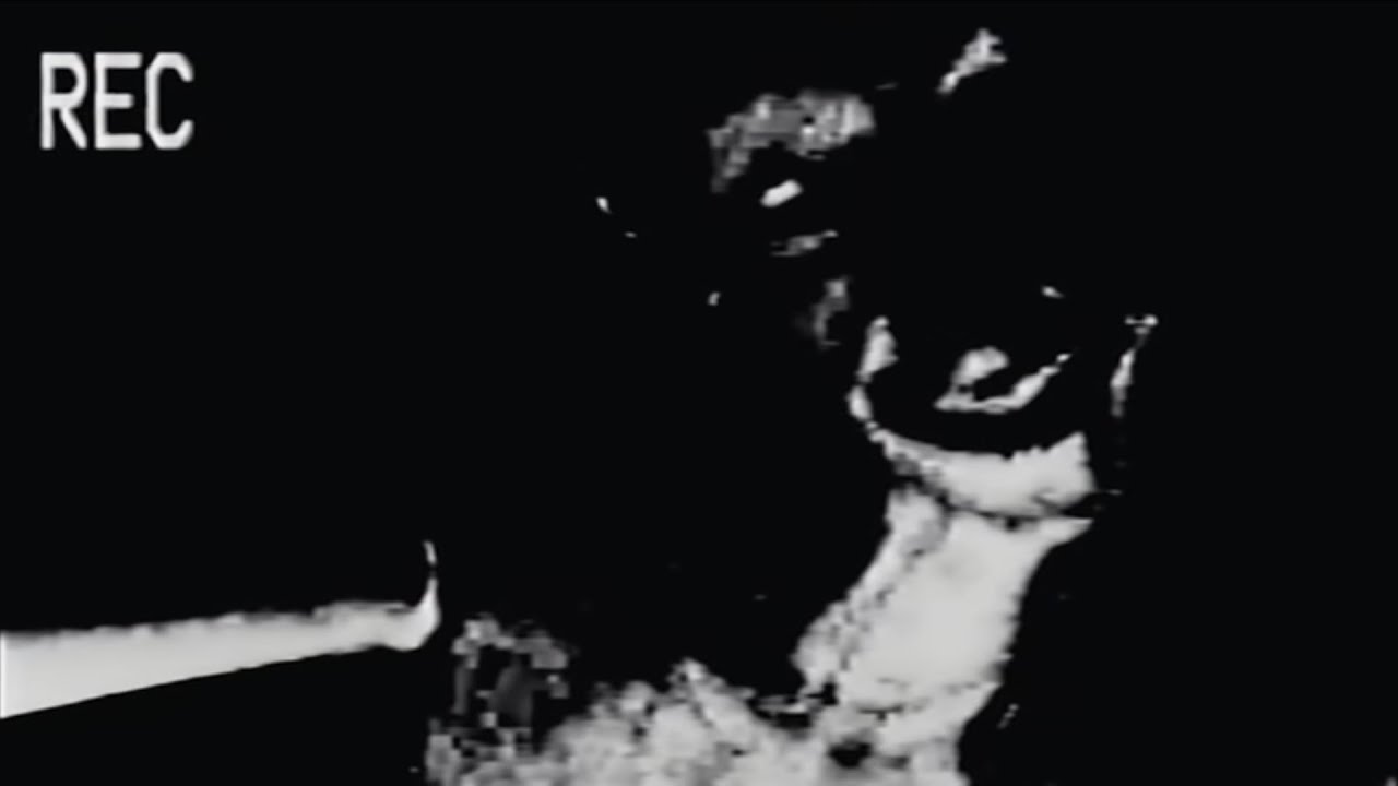 mandela vol 333 alternate Blank Meme Template