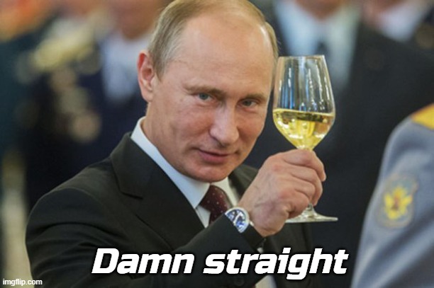 Putin Cheers | Damn straight | image tagged in putin cheers | made w/ Imgflip meme maker