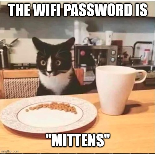 bfast | THE WIFI PASSWORD IS "MITTENS" | image tagged in bfast | made w/ Imgflip meme maker