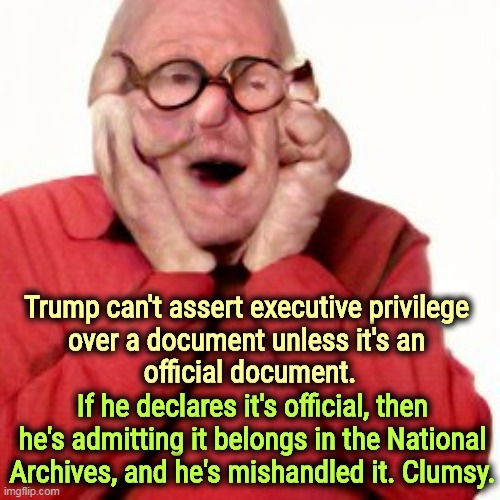 Another Trump fail. | Trump can't assert executive privilege 
over a document unless it's an 
official document. If he declares it's official, then he's admitting it belongs in the National Archives, and he's mishandled it. Clumsy. | image tagged in trump,bad,lawyers,stupid,excuses | made w/ Imgflip meme maker