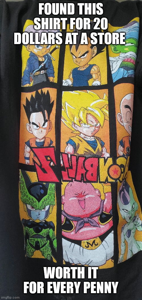 Dragon Ball Z | FOUND THIS SHIRT FOR 20 DOLLARS AT A STORE; WORTH IT FOR EVERY PENNY | image tagged in dragon ball z | made w/ Imgflip meme maker