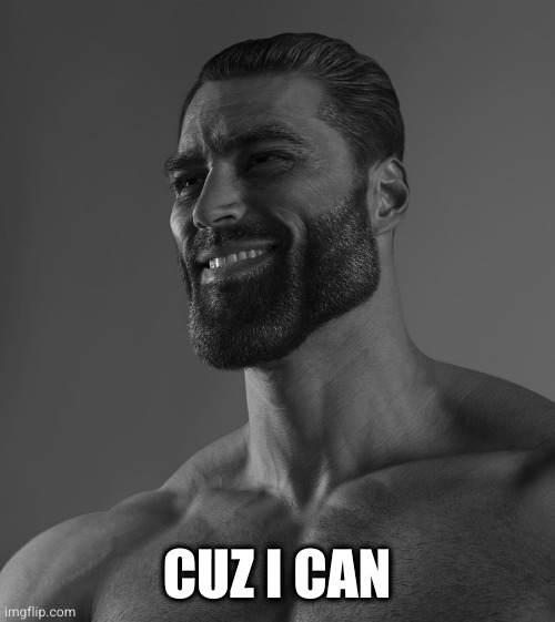 Because i can. | CUZ I CAN | image tagged in giga chad,gigachad | made w/ Imgflip meme maker